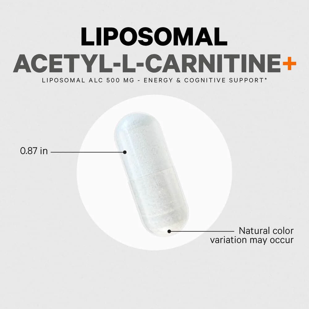 Codeage Acetyl L-Carnitine+ Enhanced Absorption Supplement - Image 5