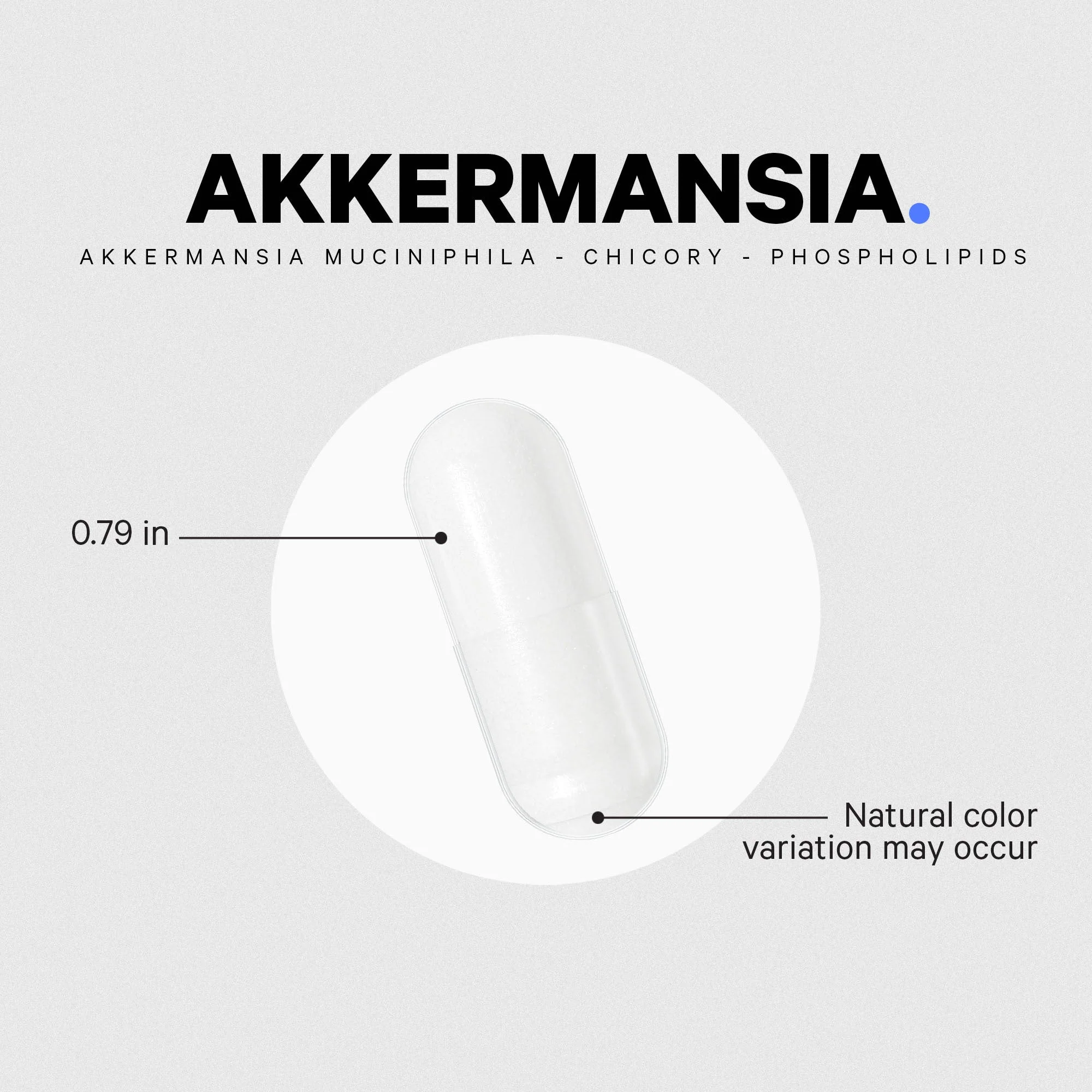 Codeage Akkermansia - Image 5