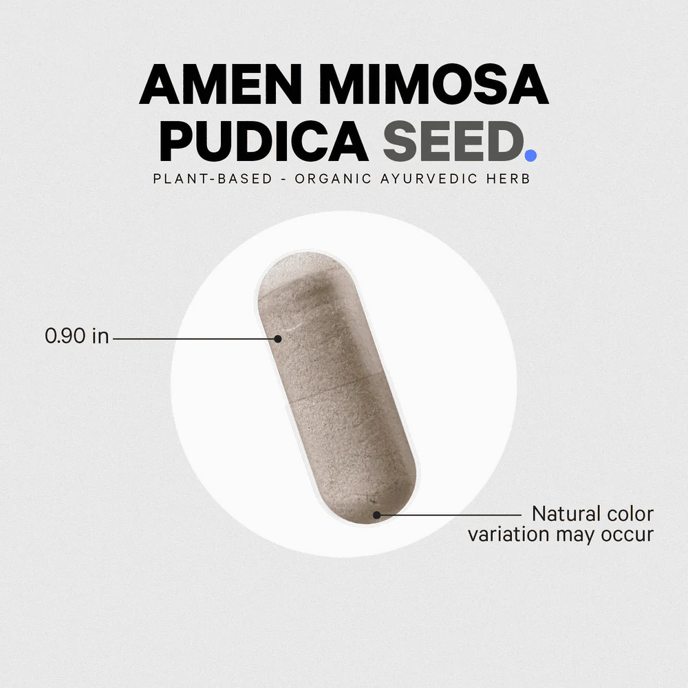 Codeage Amen Mimosa Pudica Seed - Image 4