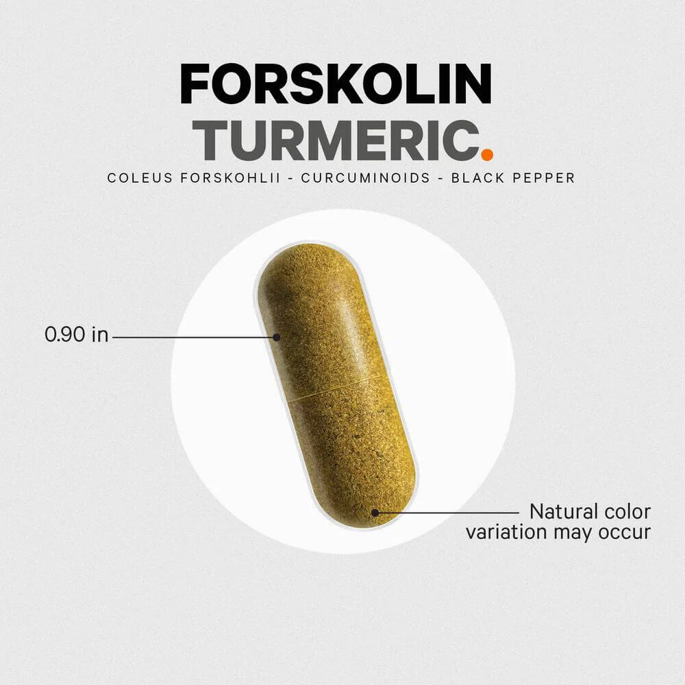 Codeage Antioxidant Forskolin Turmeric Supplement - Image 6
