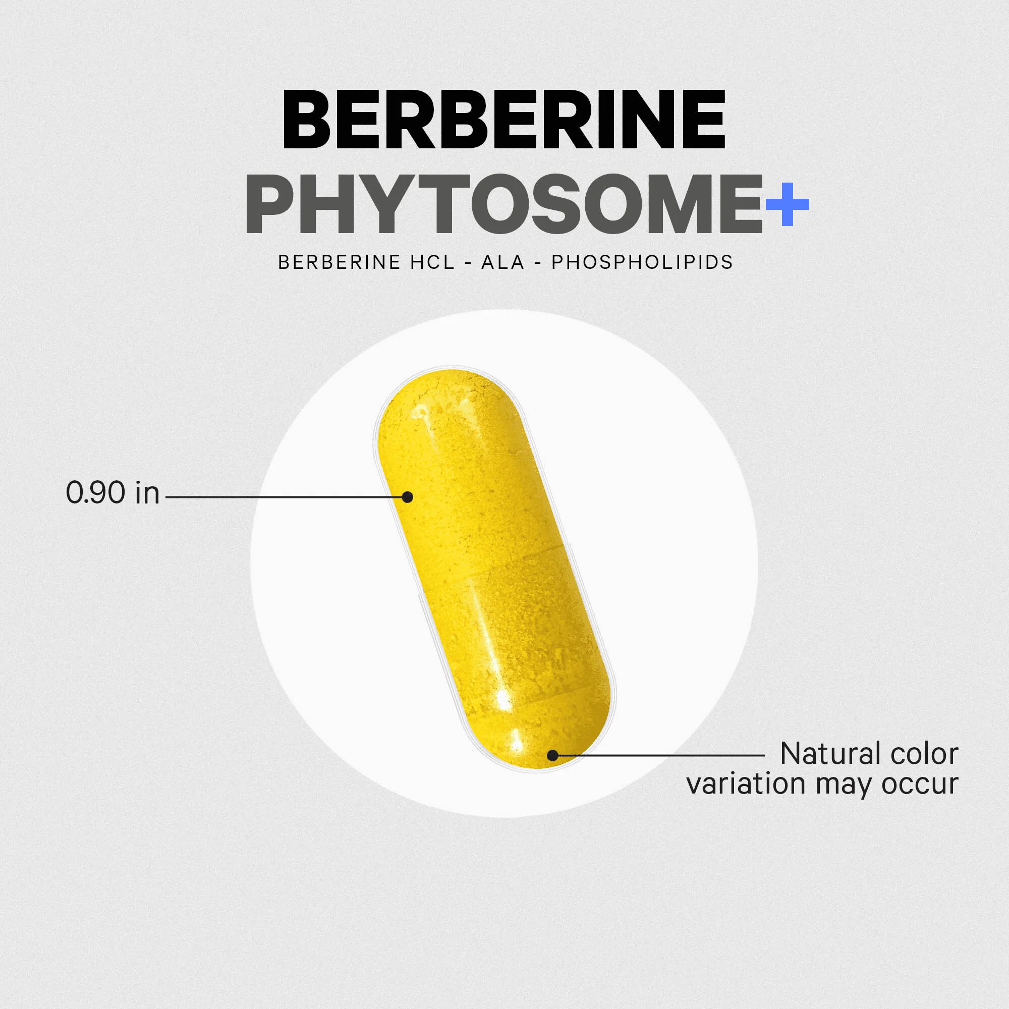 Codeage Berberine Phytosome+ 60 ct - Image 5