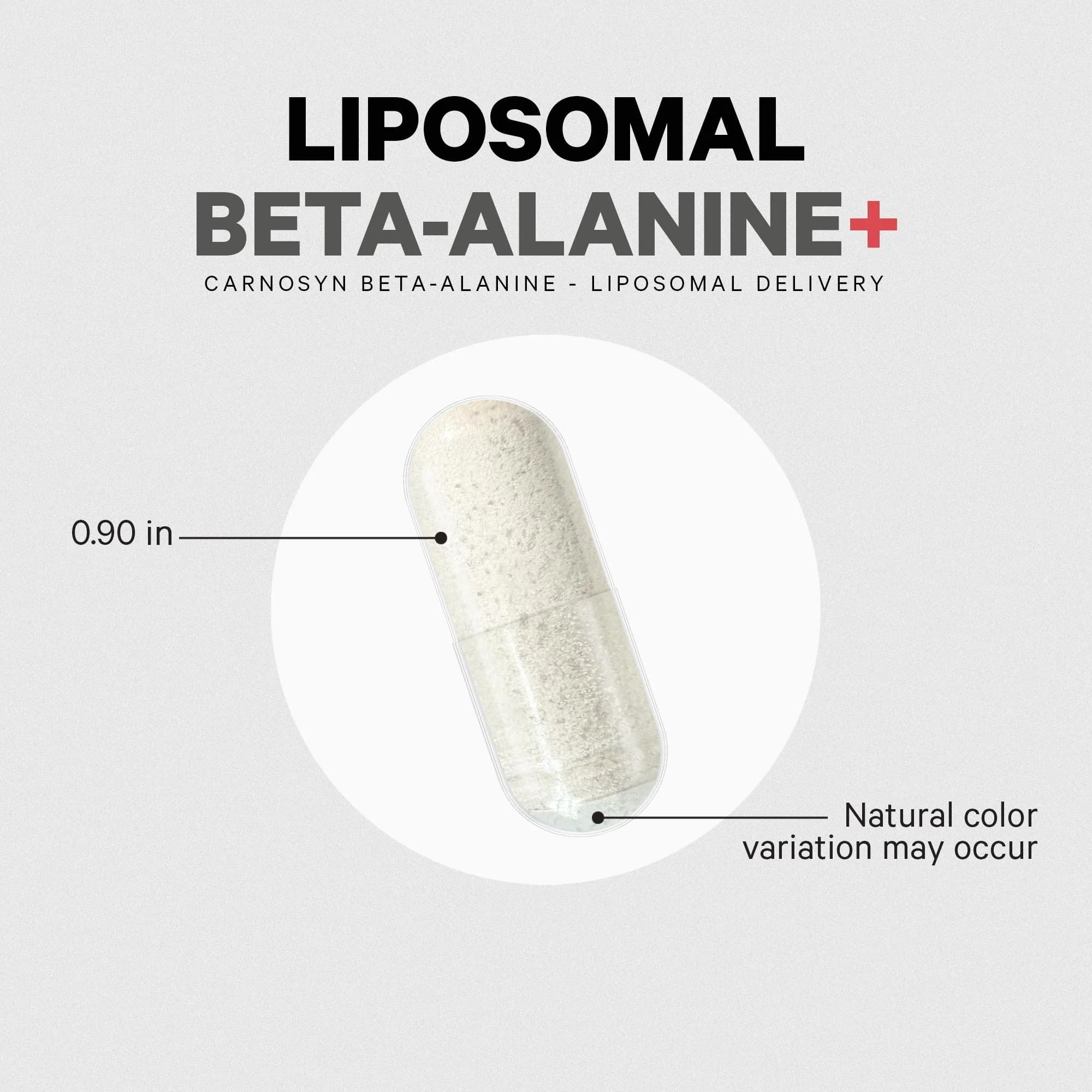 Codeage Beta-Alanine+ Carnosyn Enhanced Absorption Supplement - Image 5