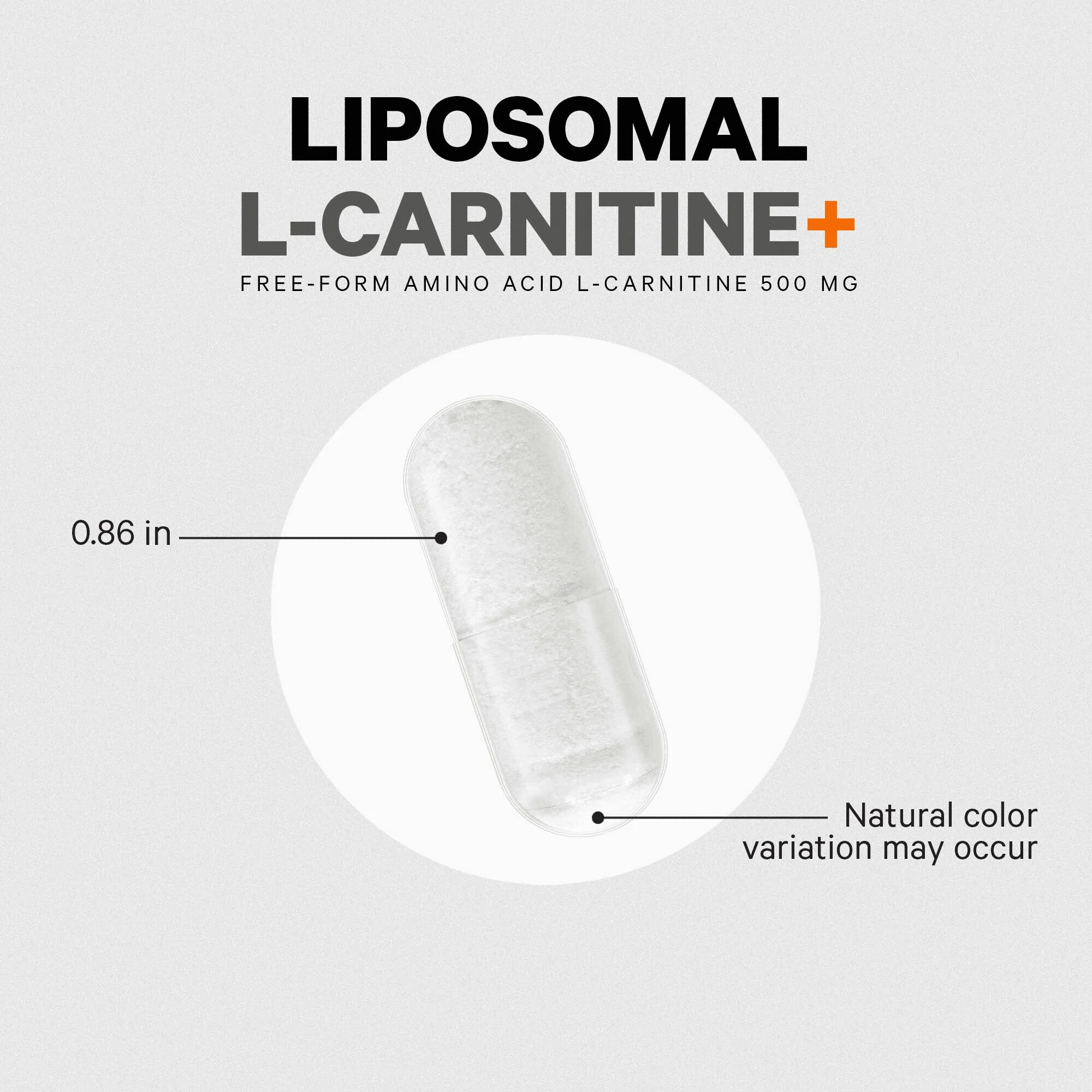Codeage L-Carnitine+ Free-Form Amino Acid Supplement - Image 6