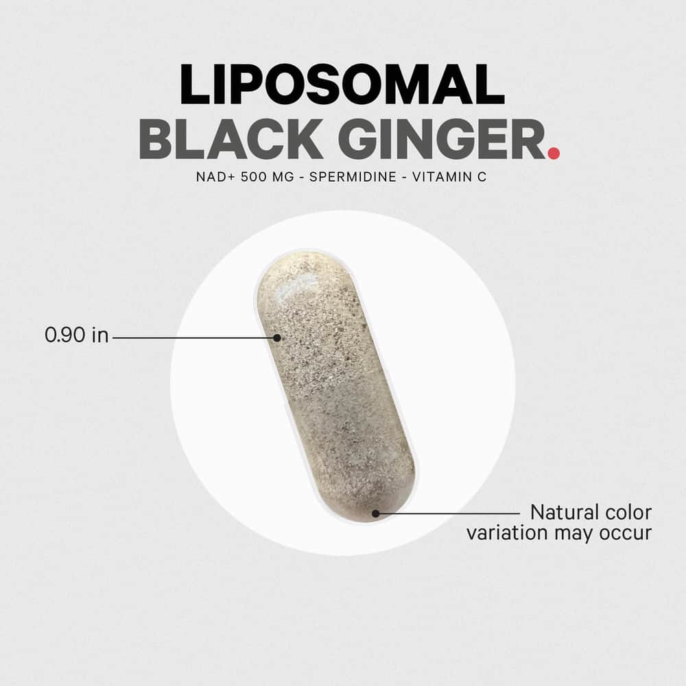 Codeage Liposomal Black Ginger - Image 5
