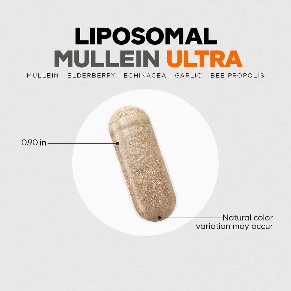 Codeage Liposomal Mullein Ultra - Image 5