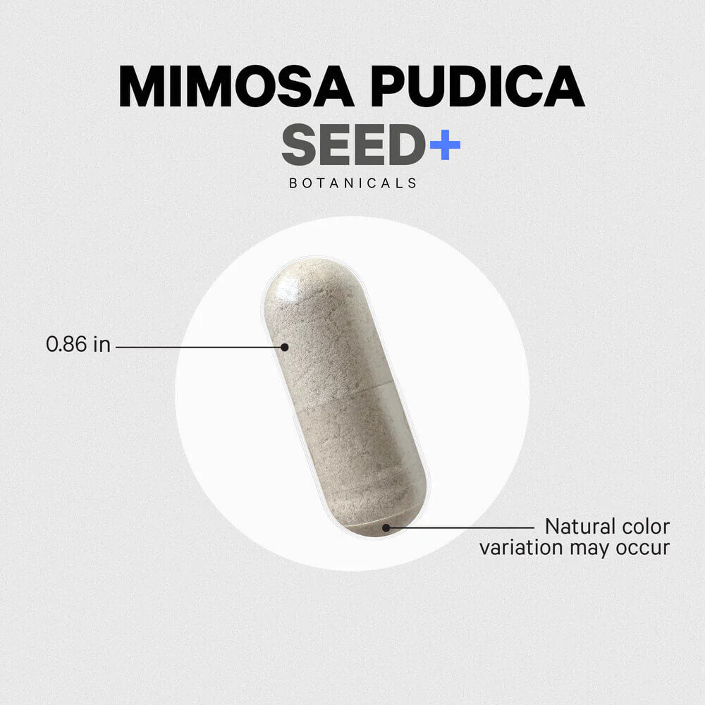 Codeage Mimosa Pudica Seed+ - Image 5