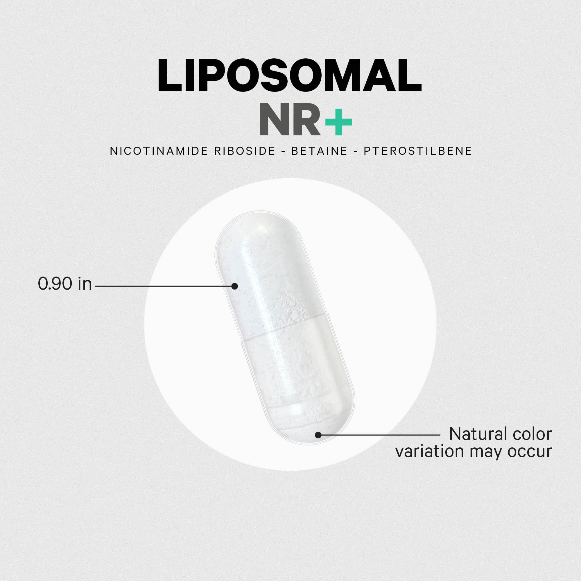 Codeage Nicotinamide Riboside+ Eternal NR -TMG Supplement - Image 4