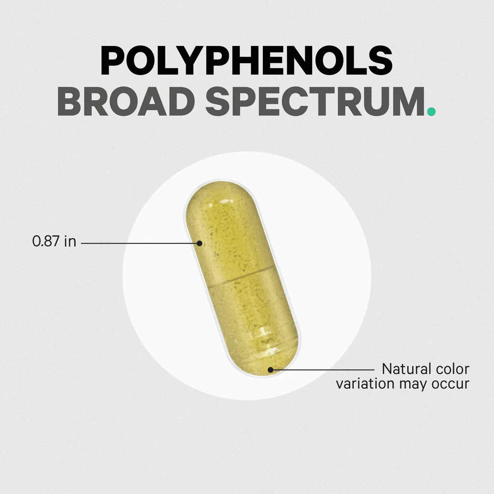 Codeage Polyphenols Broad Spectrum - Image 5