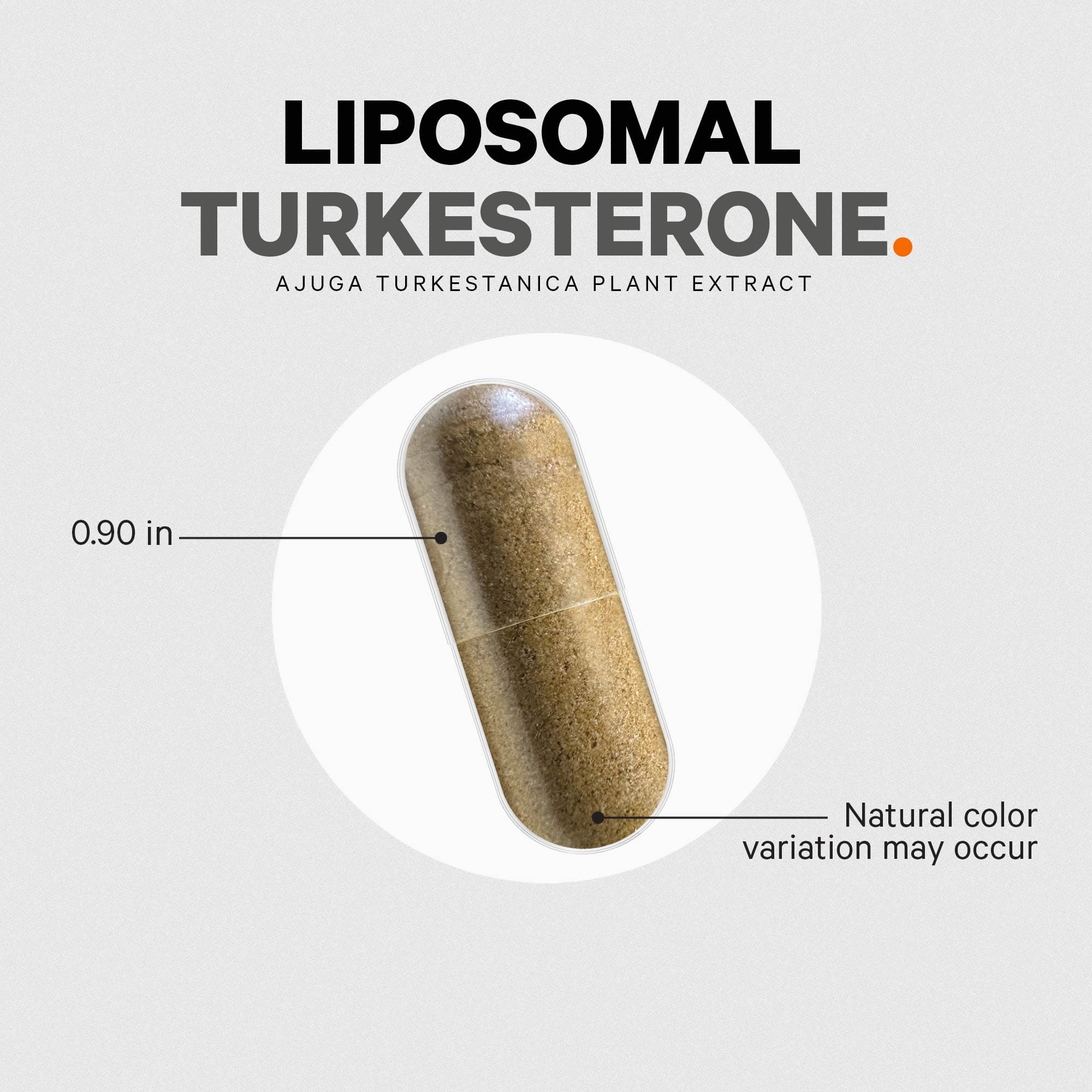 Codeage Turkesterone Supplement - Image 5