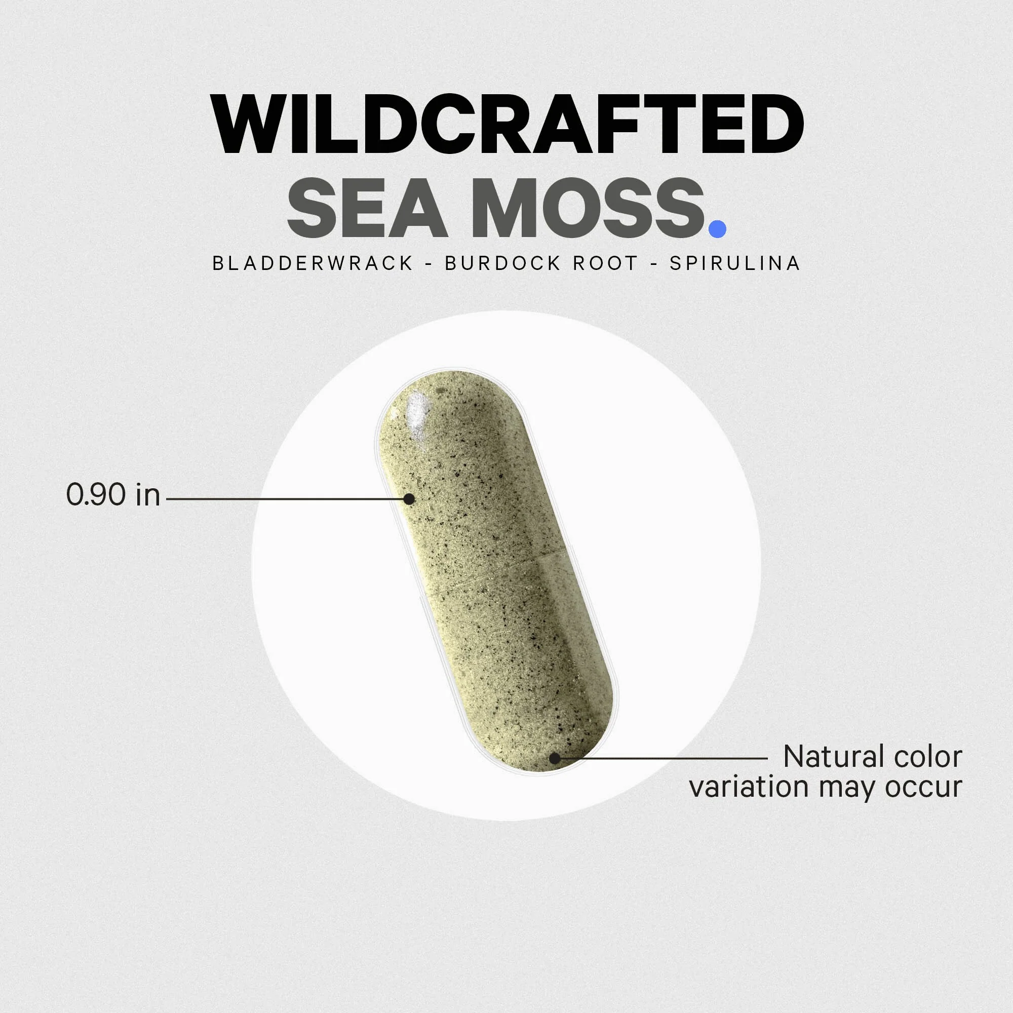 Codeage Wildcrafted Sea Moss Supplement - Image 6