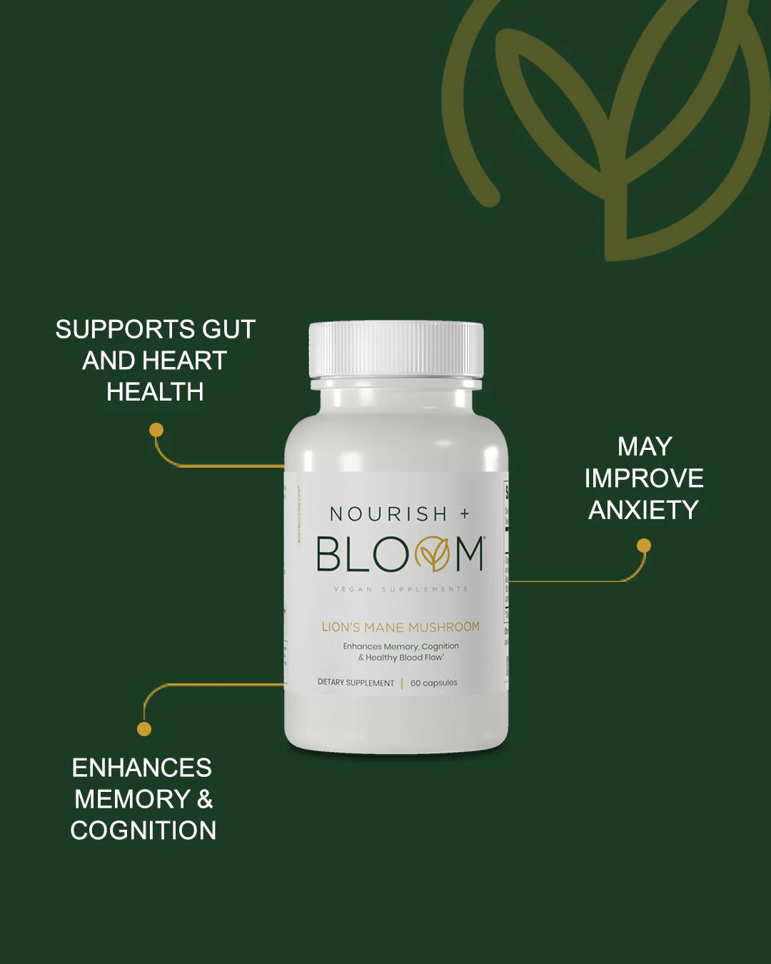 Nourish + Bloom Lion's Mane Mushroom - Image 4
