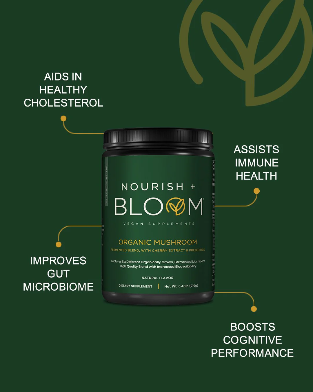 Nourish + Bloom Organic Mushroom - Image 4