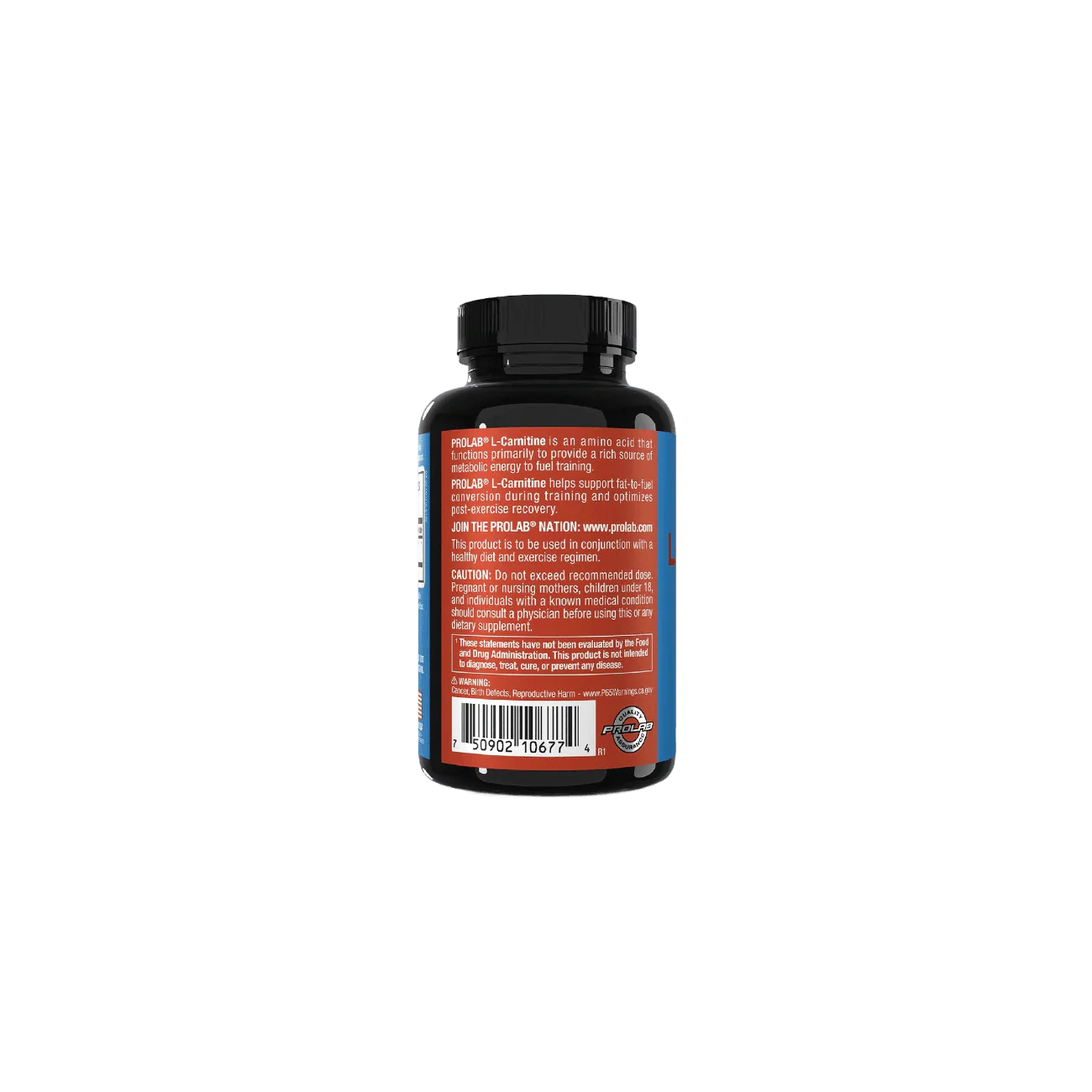 Prolab Nutrition L-Carnitine - Image 3